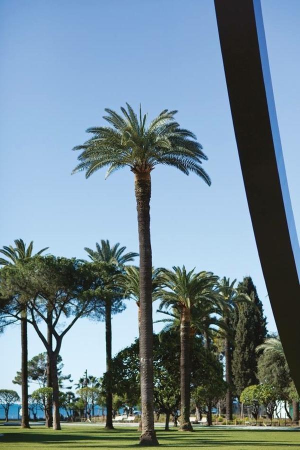Le Prefecture - Luxueux F3 En Duplex, Ascenseur, Coeur Vieux-Nice Apartment Екстериор снимка